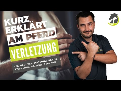 VERLETZUNG - Einschätzung, Behandlung und Infektionsrisiko. Kurz erklärt am Pferd!