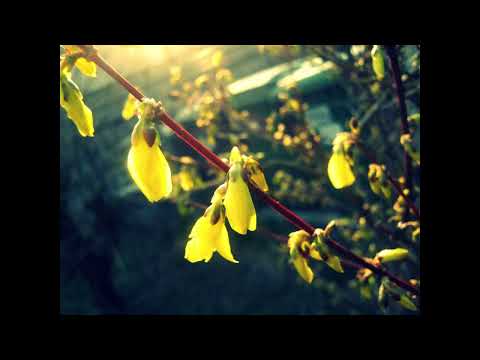 Kacper Kaczmarek   Kiedy przyjdzie czas