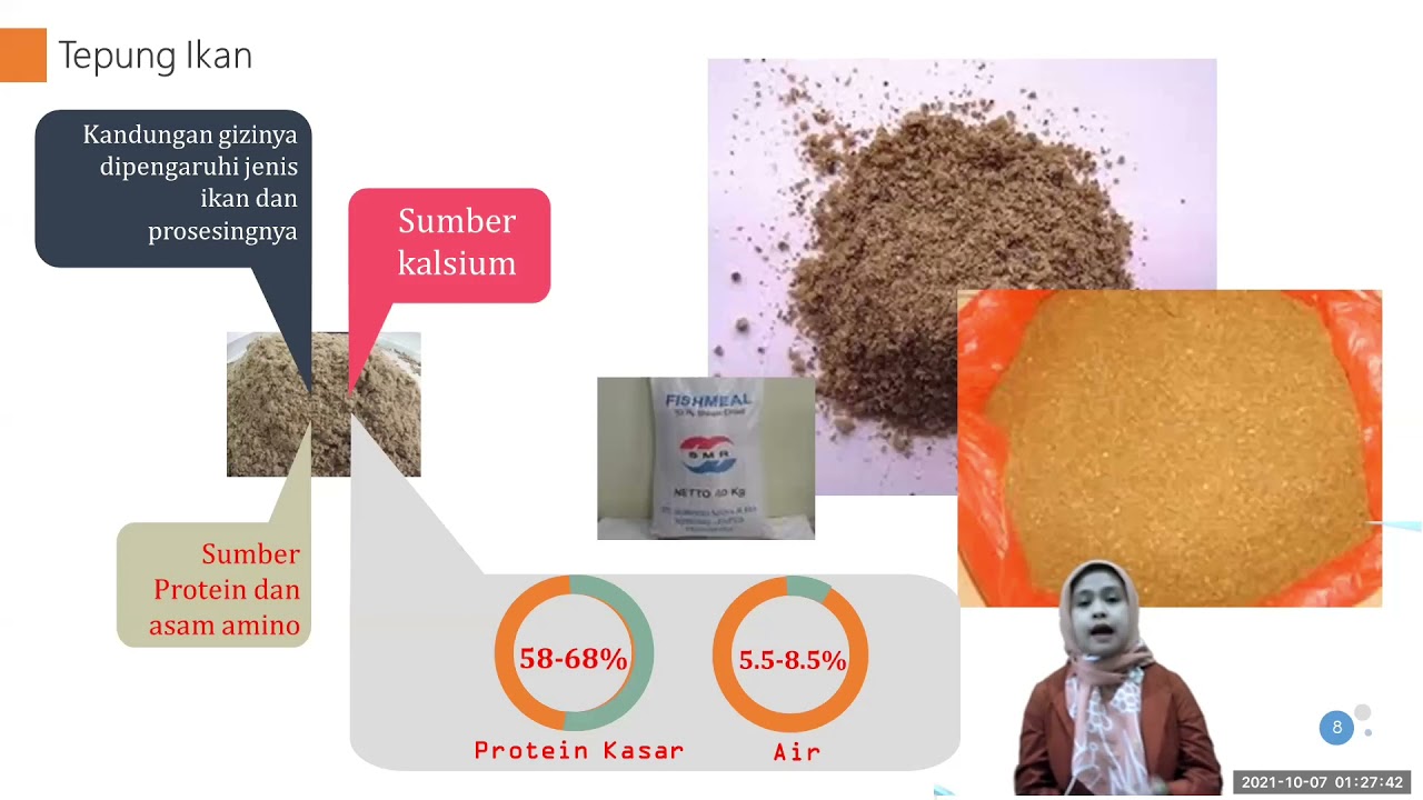 MK. Nutrisi Ikan: Klasifikasi Bahan Pakan Sumber Energi Protein dan Hijauan (Part 1)