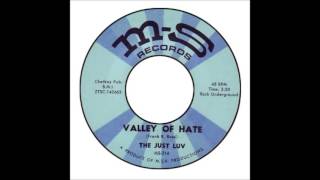 Just Luv - Valley Of Hate