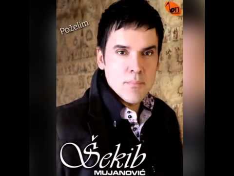 Sekib Mujanovic - Gori nebo zemlja gori (BN Music)