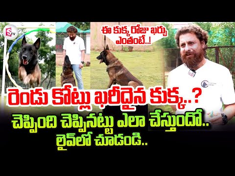 Mantravadi Chandrasekhar About Most Expensive Dog | Anchor Manjusha | @sumantvtirupati