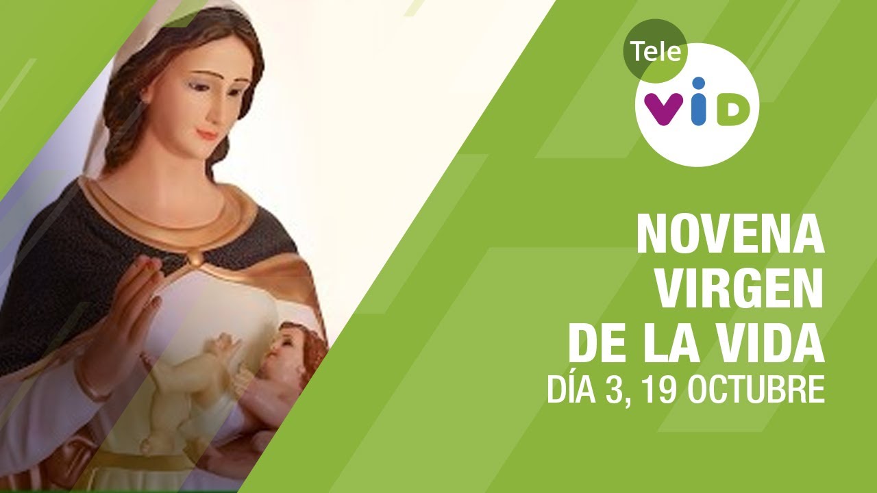 Novena a la Virgen de la Vida Día 3 🙏 19 de Octubre 2023 #TeleVID #VirgenDeLaVida