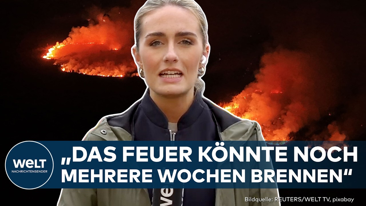 FEUER AUSSER KONTROLLE: Historischer Waldbrand in Belgien – deutsche Helfer am Limit!