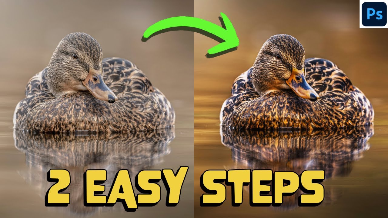 HOW to TRANSFORM your images in 2 EASY STEPS - Photoshop like a PRO