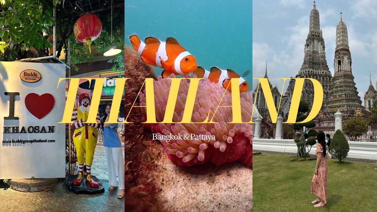 여행 브이로그 - 시아고 썸네일