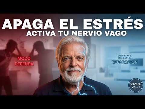 Nervio Vago: El Interruptor que Apaga el Estrés y Repara tu ADN