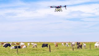 Timber realiza dia de campo com drones XAG para cooperados da Unicampo Timber realiza dia de campo com drones XAG para cooperados da Unicampo