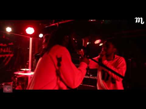 Fa-Dany avec Neilu J  - Disque d'Orfèvre (Live International)