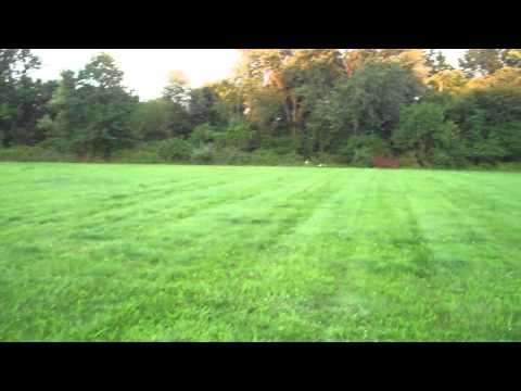 Quality Inn, East Windsor, NJ, Exit 8, NJ Turnpike, Sunset video  hotel within walking dist to Hight