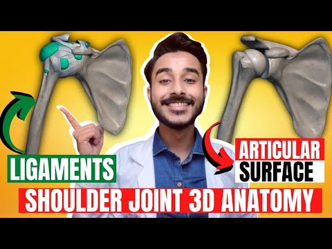 shoulder joint anatomy 3d | ligaments of shoulder joint | anatomy of shoulder joint ligaments