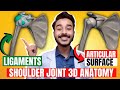 Shoulder Joint Anatomy 3d Ligaments Of Shoulder Joint Anatomy Of Shoulder Joint Ligaments