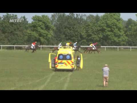 MI, 3. 6. 2017, 6. dostih - Cena Libereckého kraje