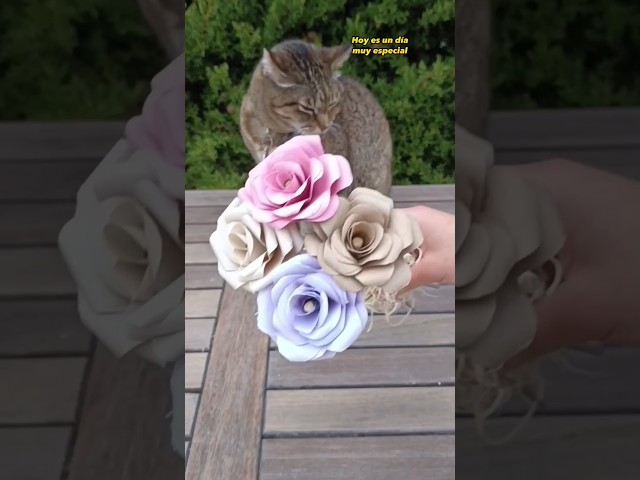 Vídeo relacionado con NEONOBS Rosa Personalizada - Regalo Original para Sant Jordi, Día de la Madre, Día del Libro, San Valentín, Aniversario - Rosa Eterna