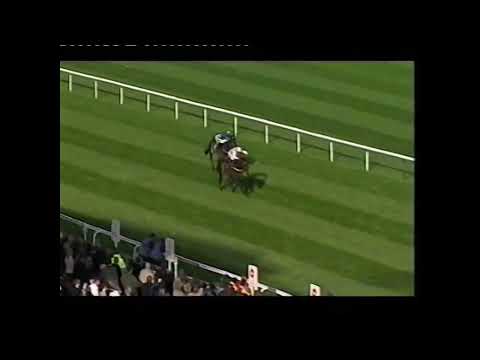 2005 Mares' Only National Hunt Flat Race - Aintree meeting