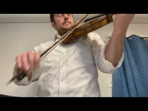 Ma zheng 4/4 Full size Violin 2006 image 21