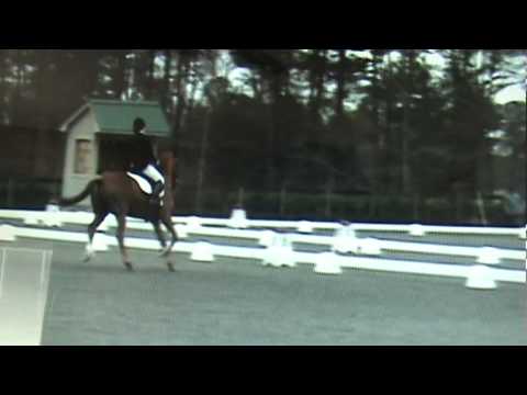 Sammy flips over...and breaks my ankle