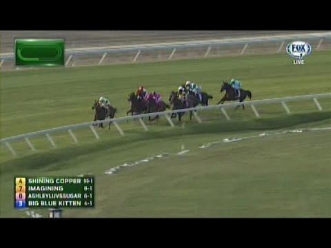 2015 United Nations Stakes