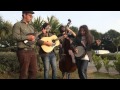 The Kentucky Cow Tippers - Down Along the Dixie ...