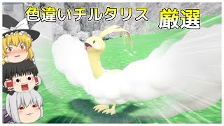【ポケモンSV】色違いのチルタリスをゲットしたい！【ゆっくり実況】