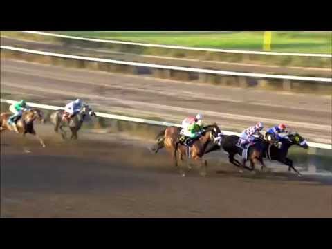 IL REY IVAN (9 - 5 - 2015)