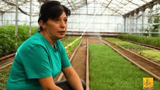 Երևան 10.09.2022