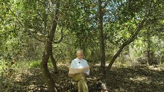 Episode 10: Perfect Peace