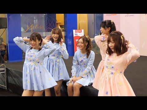 190630 บรรยากาศงาน Cheki CMCafe - Focus Gam + Yui + Inin @ Cheki CMCafe On Stage