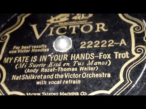 Nat Shilkret & The Victor Orchestra - My Fate Is In Your Hands (1930)