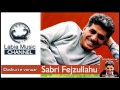 Sabri Fejzullahu - Dashuri E Vonuar