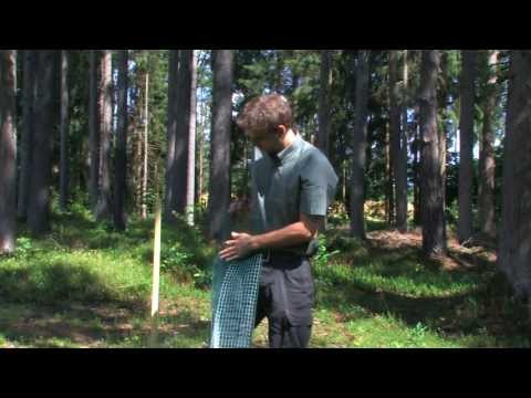 Baumschutz - Forstschutz  - Witasek PflanzenSchutz GmbH