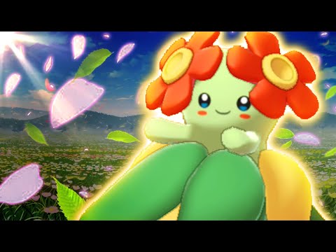 You won't BELIEVE this BUSTED BELLOSSOM SET
