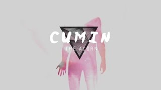The Acorn - Cumin (Official Video)