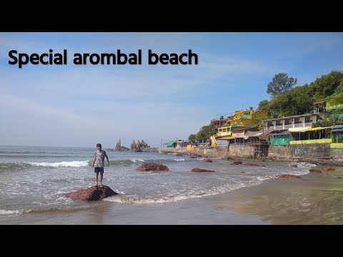 Arombol beach ,sweet lake ,dolphin ride with ajinkya,