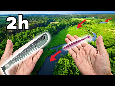 Kleine Köder VS große Köder im Fluss! 🎣💥 - Small River Challenge Ep.1