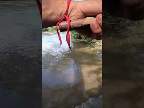Pesca de Dorados y Bagres en el río gastona. Atahona, Tucumán. #pesca #pez #rio #dorados #argentina