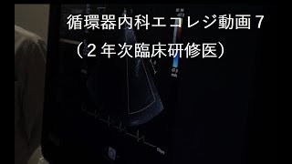 循環器内科エコレジ7/2年次臨床研修医/2021年7月15日