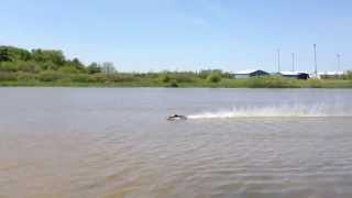 preview picture of video 'Warpath PRO Gas RC Boat 2814 Prop'