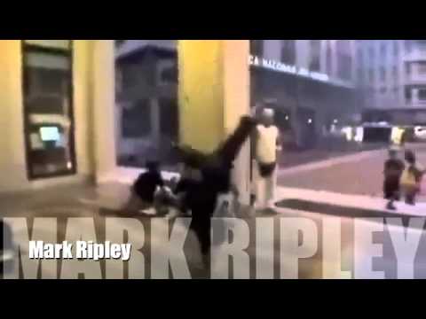 Erick Sermon feat Marvin Gaye - Freestyle - Mark Ripley