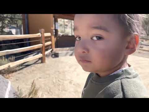 First time at the Animal Ark Reno NV,