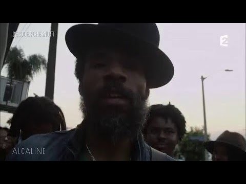 Alcaline, Les News du 4/12 - Décoder Chesnut