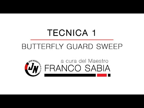 Tecnica 1: Butterfly Guard Sweep