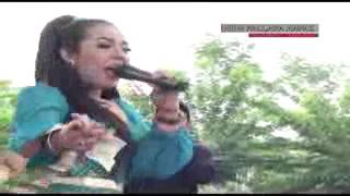 Download lagu Bojo Ketikung   Devi Aldiva NEW PALLAPA ARPAS 2016 mp3