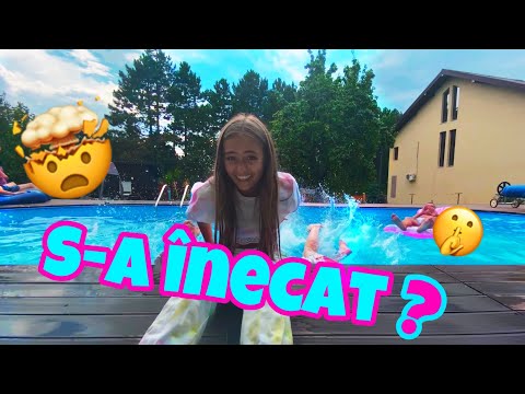 S-a înecat?🙄🤯 (Dacă ești ales ești băgat in apa)❤️