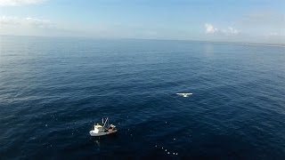 Mini Talon & Bixler 3 Formation FPV - Gerroa Headland