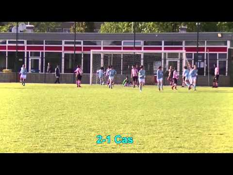 Samenvatting De Betrokken Spartaan D1 -  Hermes DVS D1