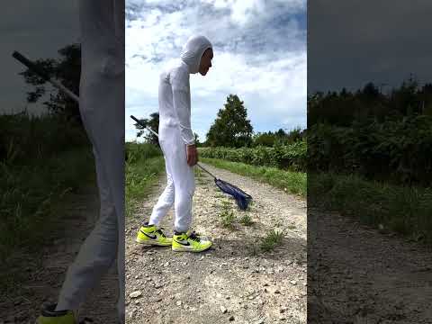 トノサマバッタの共食いも視野に