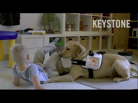 Käse Raten von Typ-2-Diabetes Wie Insulin Analyse mieten