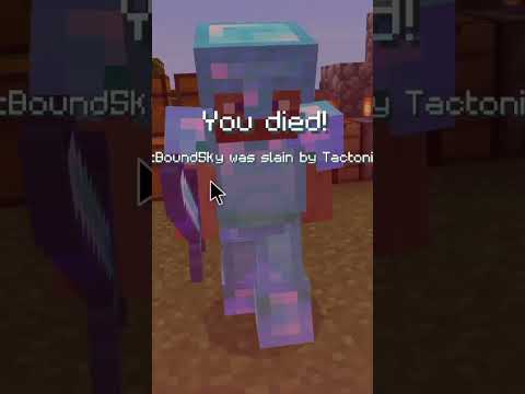 Trolling Random Player On This LIFESTEAL SMP Gone Wrong!