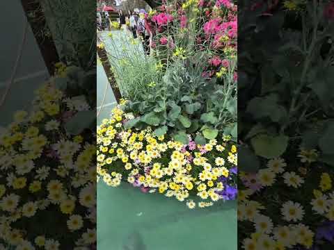 香港花展 2026 - Hong Kong Flower Show 🌸